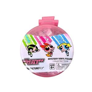 Powerpuff Girls Mystery Vinyl Figure